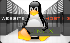 linux web host
