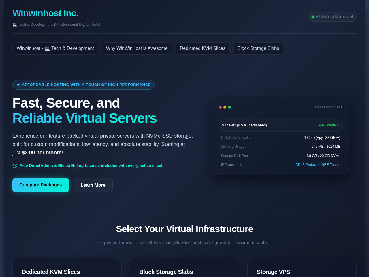 Winwinhost Inc. Screenshot