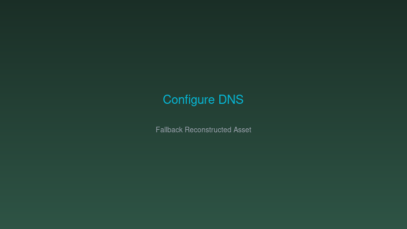 dns