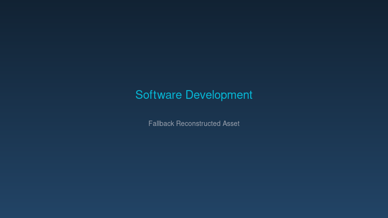 software development