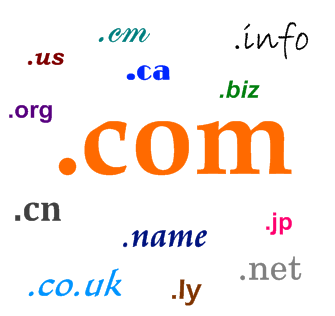 Domain Registration Concept